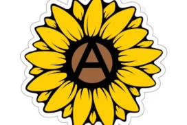 il_570xN.5576516161_cstx