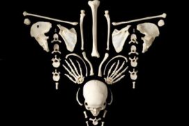 18241_419309954807144_128192254_n