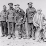 file-20230124-13-xzjg5i