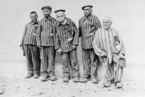 file-20230124-13-xzjg5i